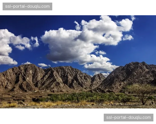 环阿联酋S4富查伊拉绕圈赛落幕,欧倍青车队选手发动长距离突围进攻 环阿联酋S4富查伊拉绕圈赛落幕,欧倍青车队选手发动长距离突围进攻