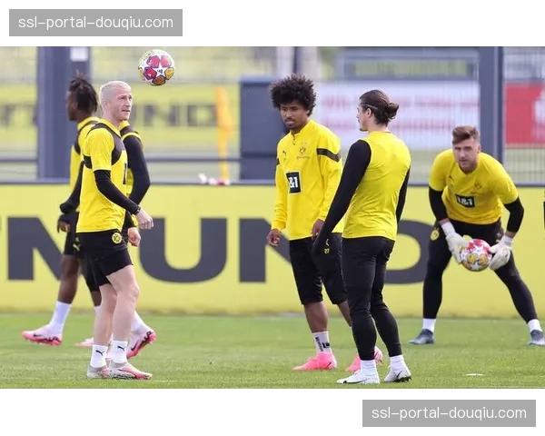 “足球进校园”计划扩展,多特蒙德俱乐部与鲁尔区十所小学建立合作 “足球进校园”计划扩展,多特蒙德俱乐部与鲁尔区十所小学建立合作